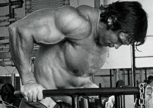 Arnold Schwarzenegger doing dips